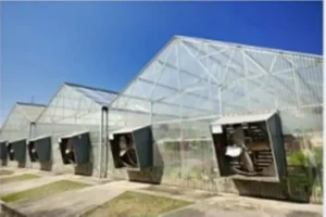 พัดลมฟาร์ม