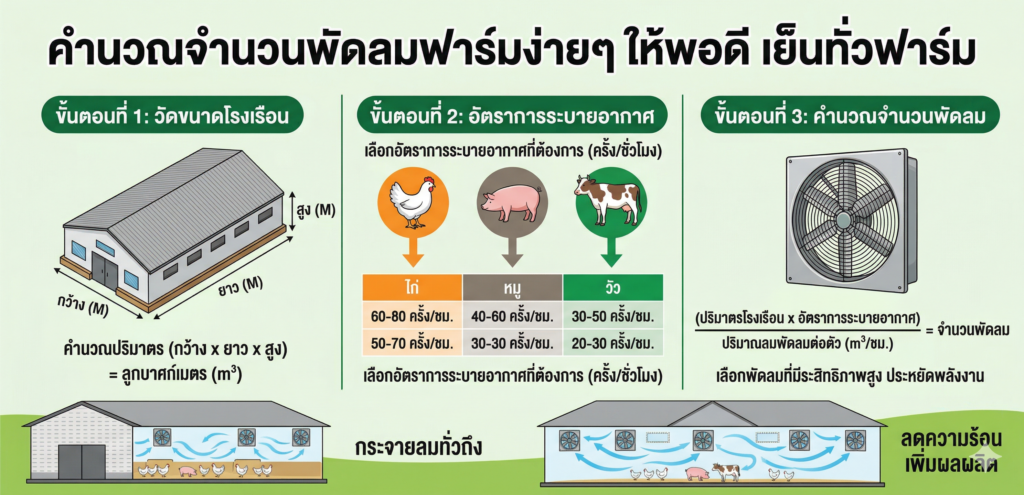 พัดลมฟาร์มใช้กี่ตัวต่อพื้นที่ คำนวณง่ายๆ ให้พอดี เย็นทั่วฟาร์ม ลดต้นทุนได้จริง